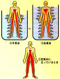 Sւ̕S