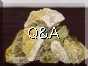 Q&A