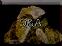 QA